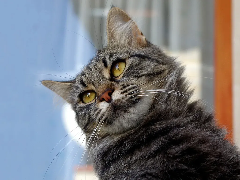 Badania zwierząt w Warszawie